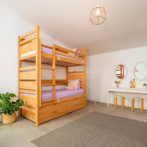 Albergue Female FAO